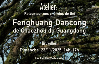 Retour sur nos chemins de thé – Fenghuang Dancong de Chaozhou du Guangdong