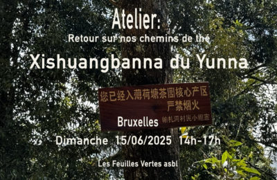 Retour sur nos chemins de thé – Xishuangbanna du Yunnan